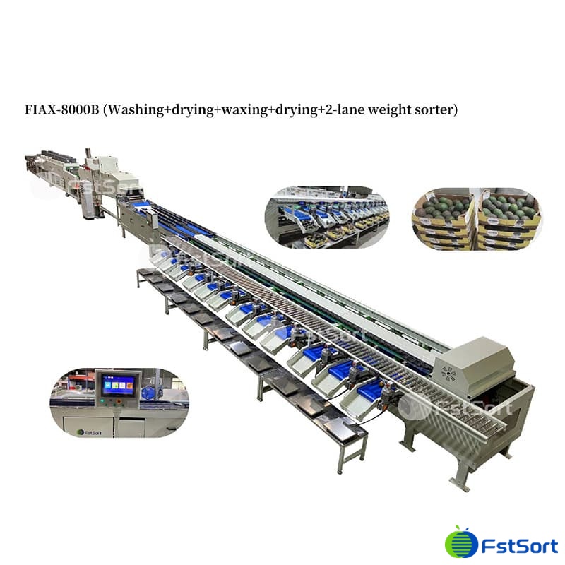 images/1666080037768avocado processing line.jpg